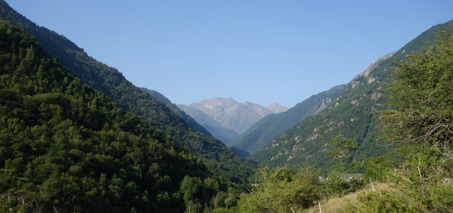 Vallée de Vicdessos