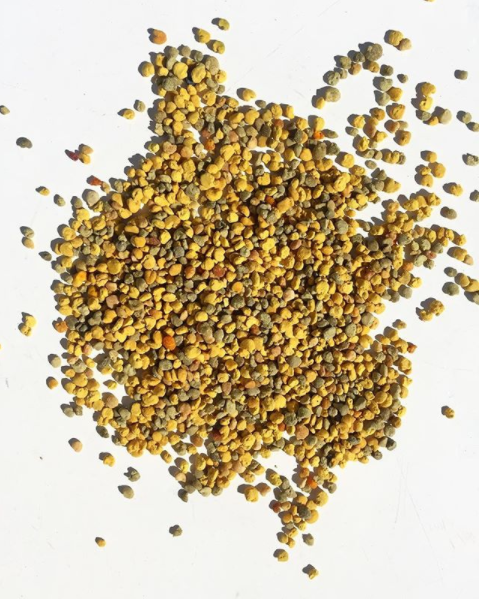 pollen par Miel Factory aux multiples bienfaits pour la santé